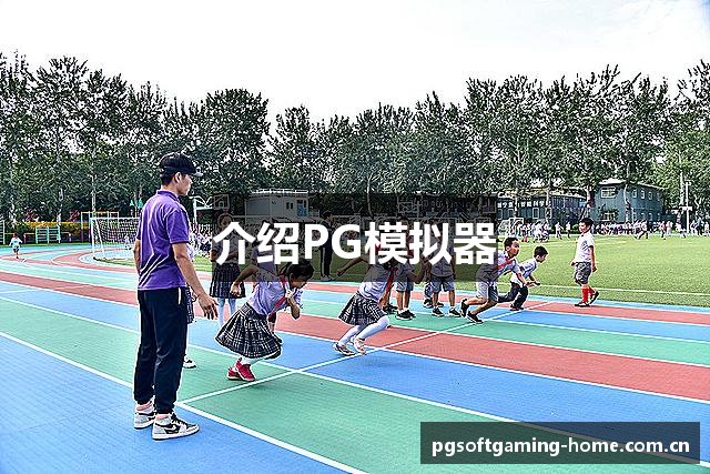 介绍PG模拟器